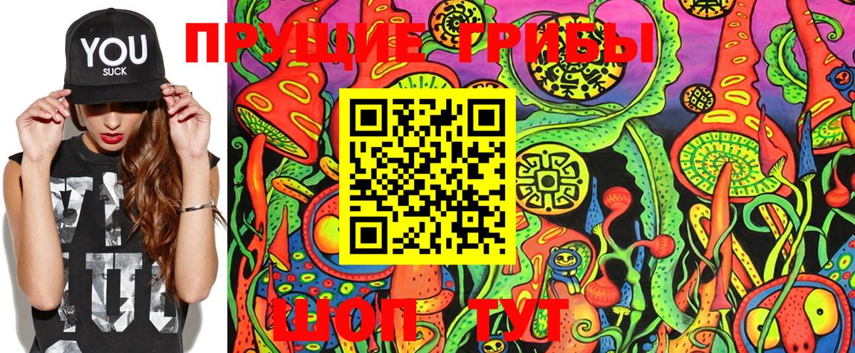 Галлюциногенные грибы Magic Shrooms  Вход с VPN  Псилоцибиновые грибы прущие грибы  Заволжье 