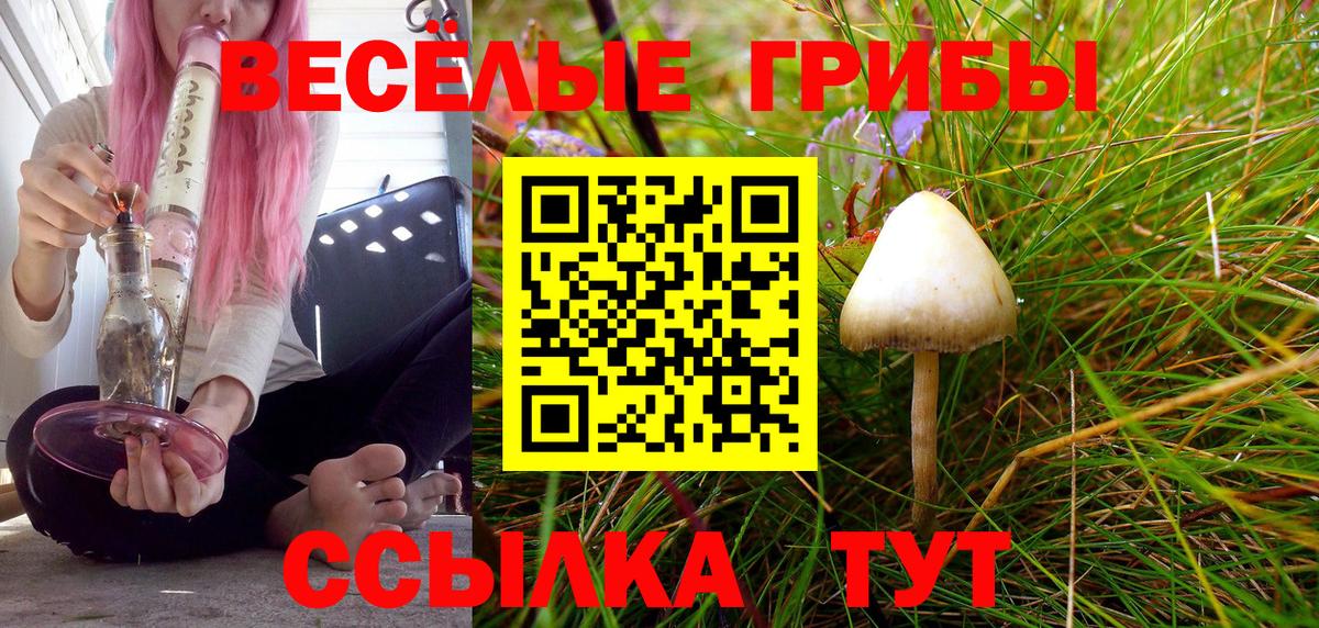 Псилоцибиновые грибы мицелий Заволжье